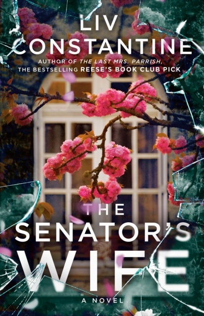 The Senator''s Wife - A Novel