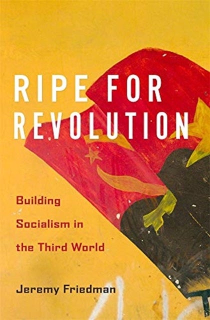 Ripe for Revolution – Building Socialism in the Third World - Building Socialism in the Third World