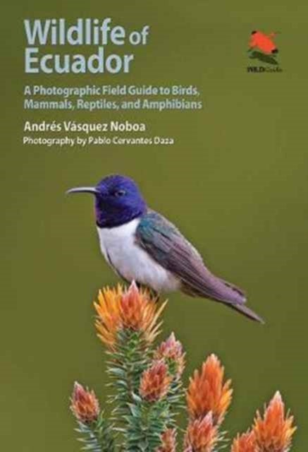 Wildlife of Ecuador - A Photographic Field Guide to Birds, Mammals, Reptiles, and Amphibians