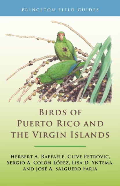 Birds of Puerto Rico and the Virgin Islands - Fully Revised and Updated Third Edition