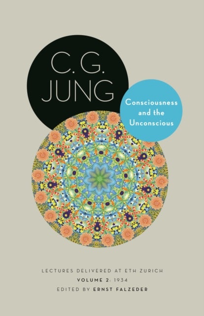 Consciousness and the Unconscious - Lectures Delivered at ETH Zurich, Volume 2: 1934
