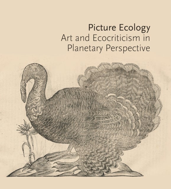 Picture Ecology – Art and Ecocriticism in Planetary Perspective - Art and Ecocriticism in Planetary Perspective