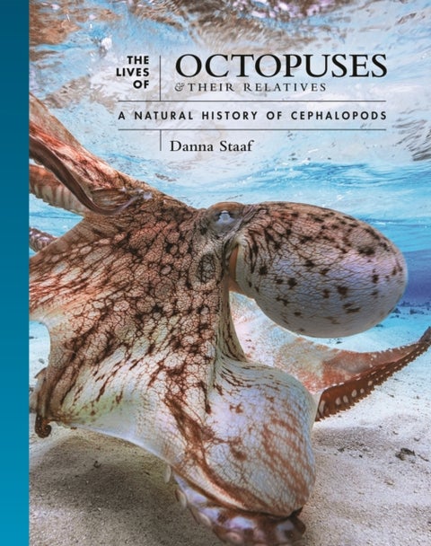 The Lives of Octopuses and Their Relatives – A Natural History of Cephalopods - A Natural History of Cephalopods