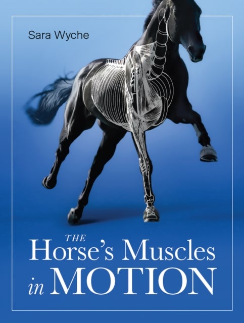 Horse''s Muscles in Motion