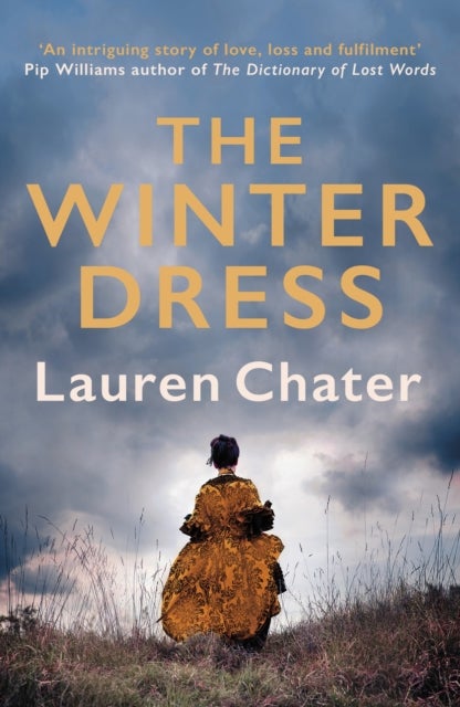 Winter Dress - Two women separated by centuries drawn together by one beautiful silk dress