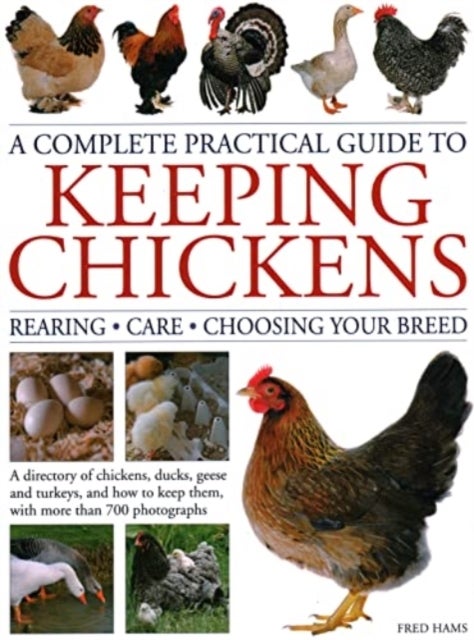 A Complete Practical Guide to Keeping Chickens - Rearing; Care; Choosing Your Breed: A directory of chickens, ducks, geese and turkeys, and how to keep them, with over 700 photographs