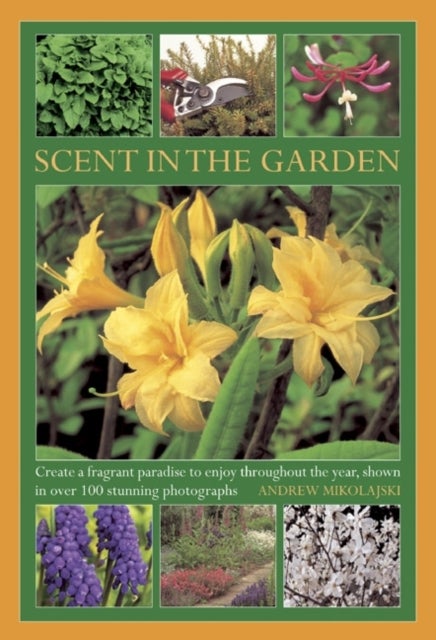 Scent in the Garden - Create a Fragrant Paradise to Enjoy Throughout the Year, Shown in 100 Stunning Photographs