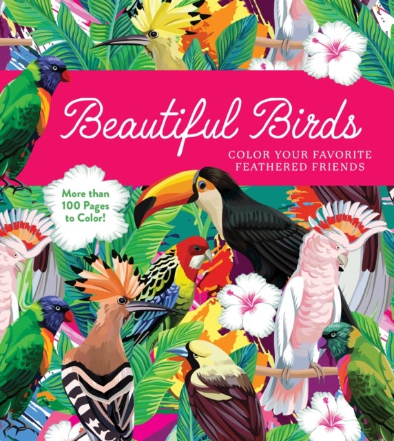 Beautiful Birds - Color Your Favorite Feathered Friends - More than 100 Pages to Color!