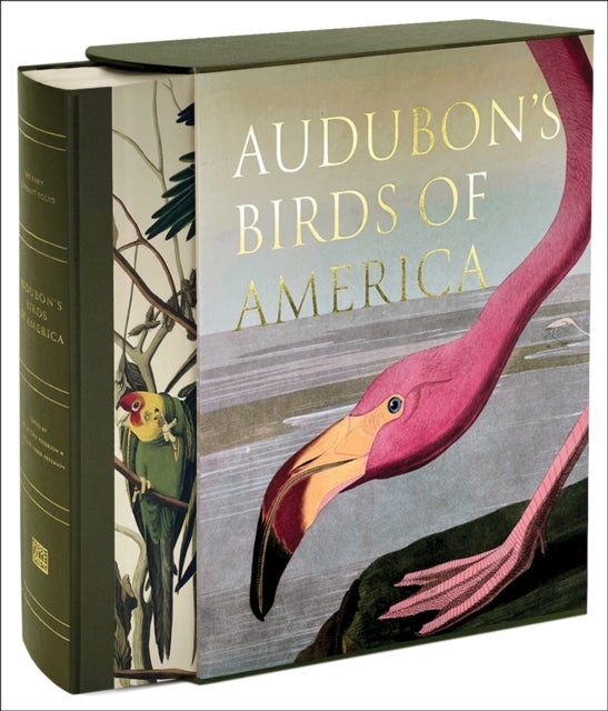 Audubon¿s Birds of America - Baby Elephant Folio