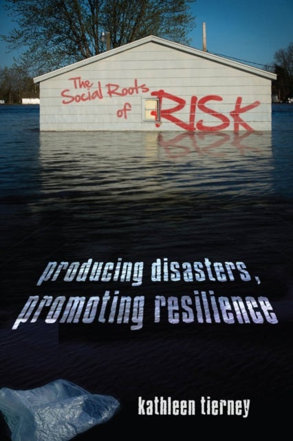 The Social Roots of Risk - Producing Disasters, Promoting Resilience