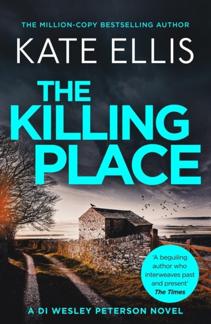 The Killing Place - A thrilling, atmospheric mystery set in Devon