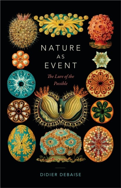 Nature As Event - The Lure of the Possible