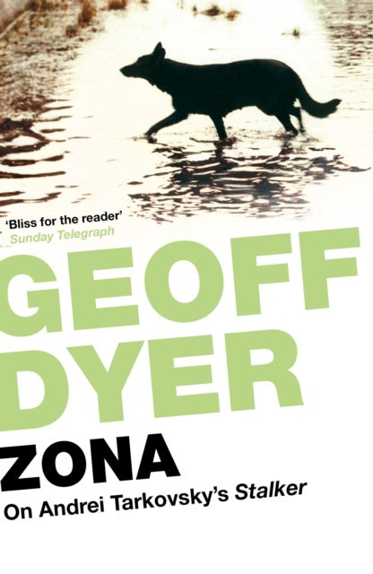 Zona - On Andrei Tarkovsky’s 'Stalker'