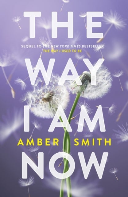 The Way I Am Now - Sequel to The Way I Used to Be