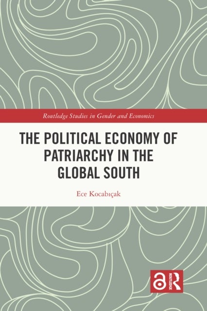 The Political Economy of Patriarchy in the Global South