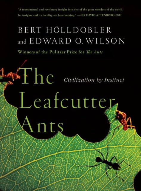 The Leafcutter Ants - Civilization by Instinct