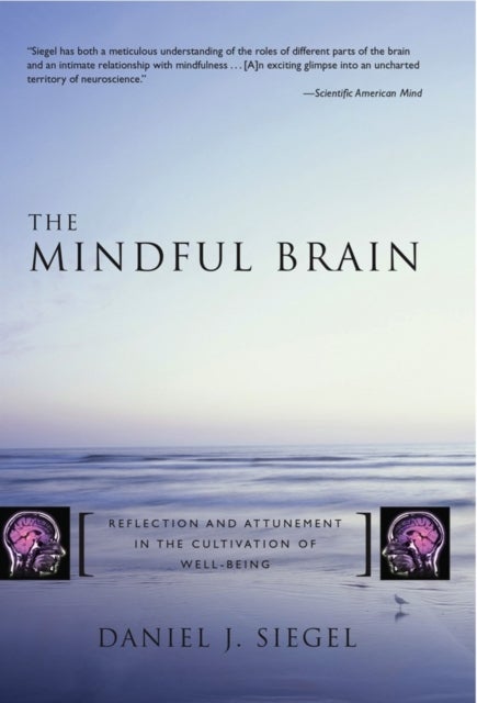 The Mindful Brain in Human Development – Reflection and Attunement in the Cultivation of Well–Being