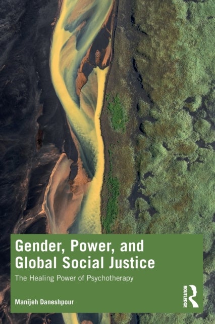Gender, Power, and Global Social Justice - The Healing Power of Psychotherapy
