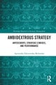 Ambidextrous Strategy