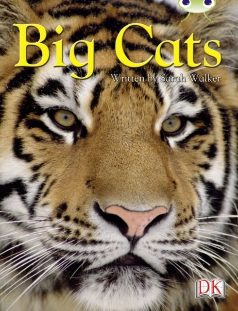 Bug Club Independent Non Fiction Year 3 Brown B Big Cats