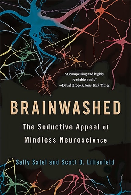 Brainwashed - The Seductive Appeal of Mindless Neuroscience