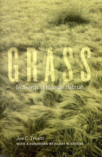 Grass – In Search of Human Habitat - In Search of Human Habitat