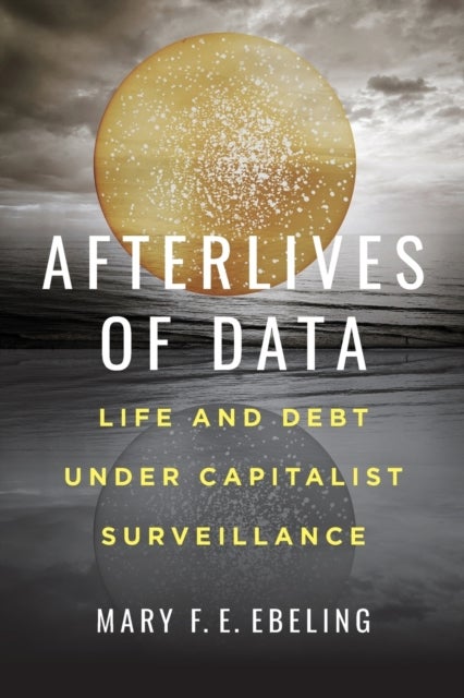 Afterlives of Data – Life and Debt under Capitalist Surveillance - Life and Debt under Capitalist Surveillance