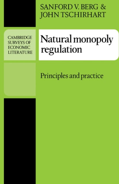 Natural Monopoly Regulation - Principles and Practice