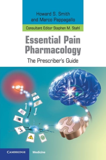 Essential Pain Pharmacology - The Prescriber's Guide