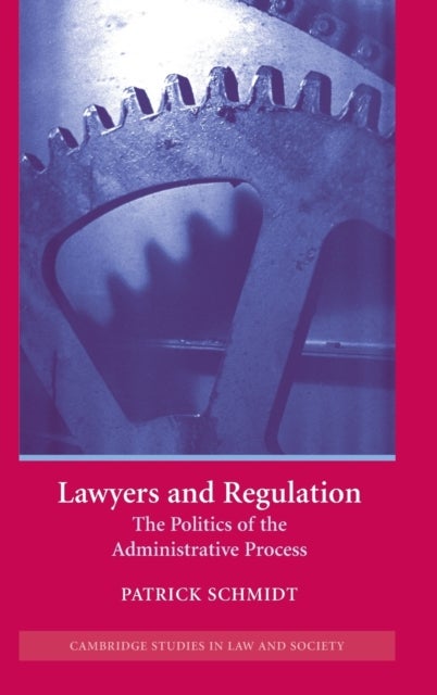 Lawyers and Regulation - The Politics of the Administrative Process
