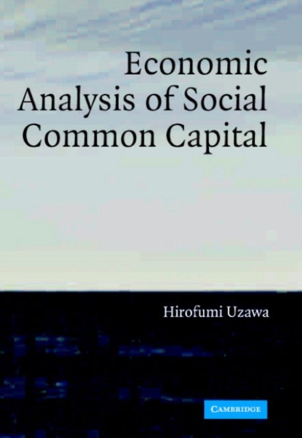 Economic Analysis of Social Common Capital