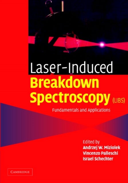 Laser-Induced Breakdown Spectroscopy (LIBS)