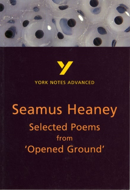 Selected Poems from Opened Ground: York Notes Advanced - everything you need to study and prepare fo