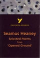 Selected Poems from Opened Ground: York Notes Advanced - everything you need to study and prepare fo