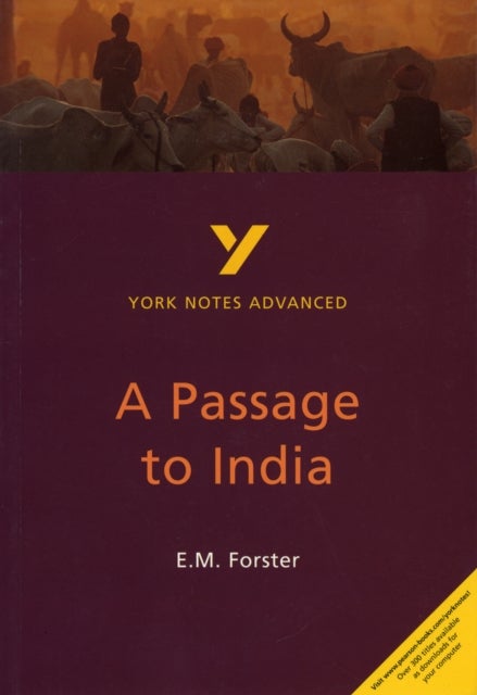 A Passage to India: York Notes Advanced - everything you need to study and prepare for the 2025 and