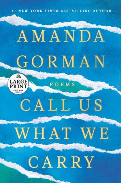 Call Us What We Carry - Poems