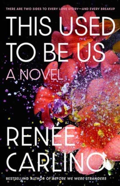This Used to Be Us - A Novel