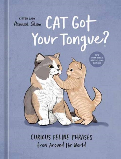 Cat Got Your Tongue? - Curious Feline Phrases from Around the World