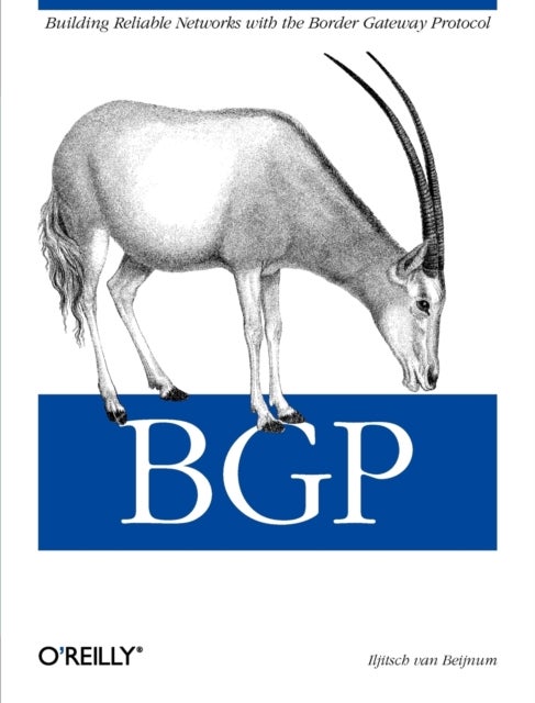 BGP - Building Reliable Networks with Border Gateway Protocol