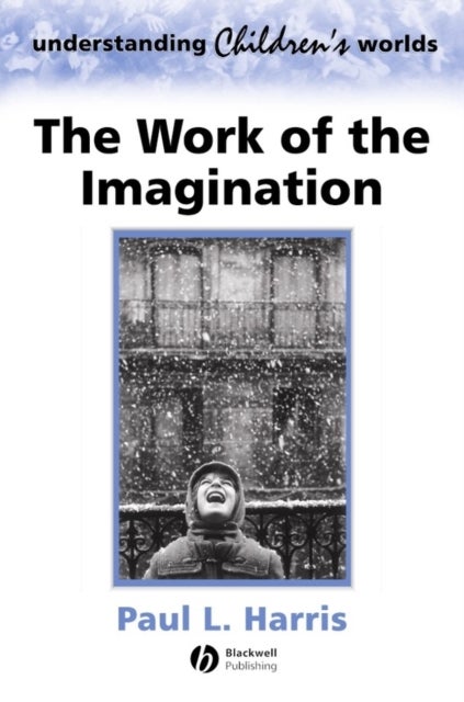 Work Imagination