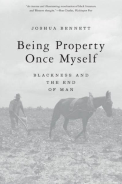 Being Property Once Myself - Blackness and the End of Man