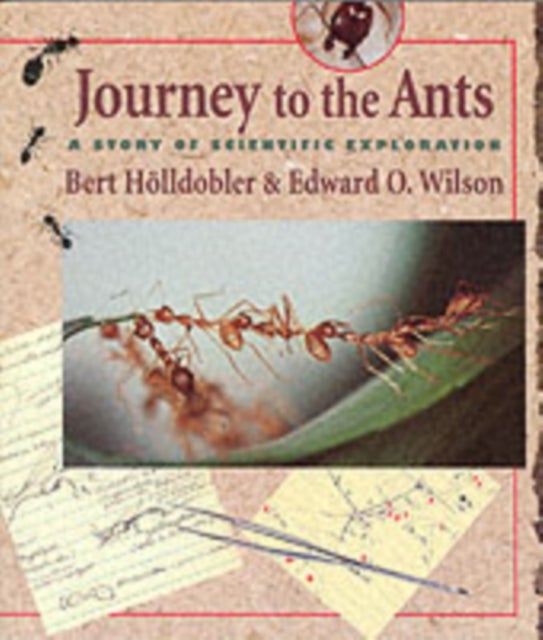 Journey to the Ants – A Story of Scientific Exploration (Paper) - A Story of Scientific Exploration