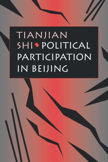 Political Participation in Beijing (Paper)