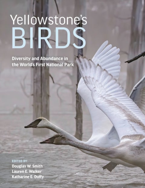 Yellowstone’s Birds - Diversity and Abundance in the World’s First National Park