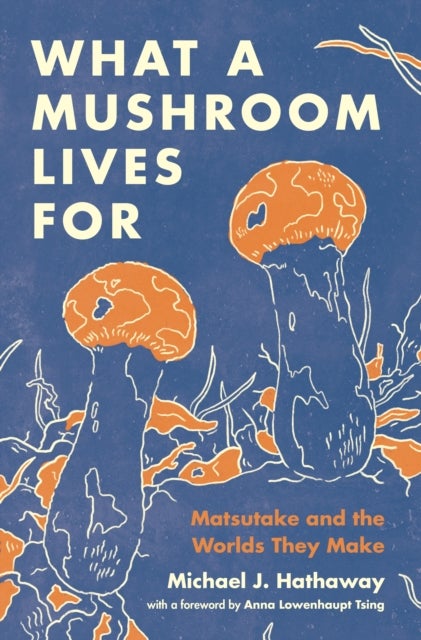 What a Mushroom Lives For – Matsutake and the Worlds They Make - Matsutake and the Worlds They Make