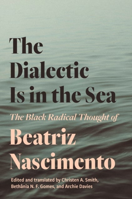 The Dialectic Is in the Sea – The Black Radical Thought of Beatriz Nascimento - The Black Radical Thought of Beatriz Nascimento