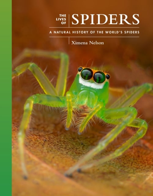 The Lives of Spiders – A Natural History of the World′s Spiders - A Natural History of the World's Spiders