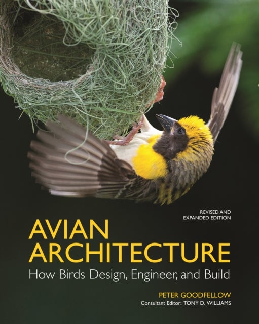 Avian Architecture Revised and Expanded Edition – How Birds Design, Engineer, and Build - How Birds Design, Engineer, and Build