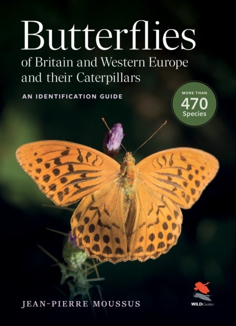 Butterflies of Britain and Western Europe and Their Caterpillars – An Identification Guide - An Identification Guide