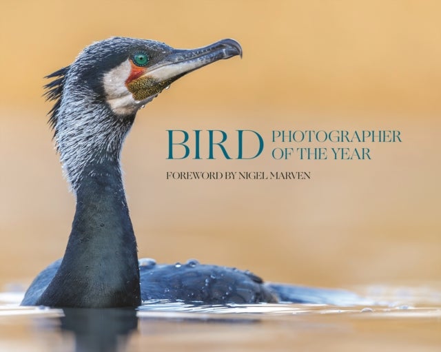Bird Photographer of the Year - Collection 10